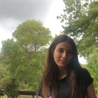 Melis Kandemir Yüksel