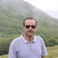 mohammad hossein yari