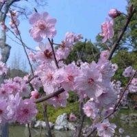 李建敏