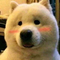 马永康