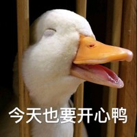 陶秋雨