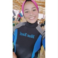 Reem Hossam