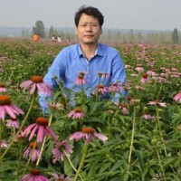 Byron Xue
