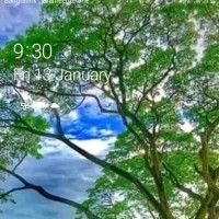 Md Mamun Hd