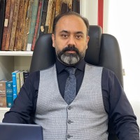 Seyedali Kargar