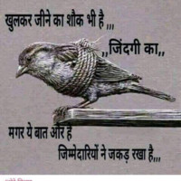 Gulshan Dhrmpur