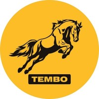 Tembo Global Industries Ltd