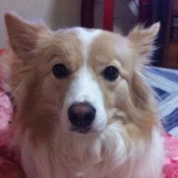吕怡宁