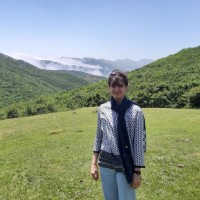 Aida Najafi