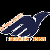 Aerowing Design Solution
