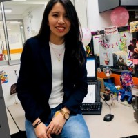 Danaes Nuñez Picón