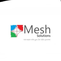 Mesh Solutions