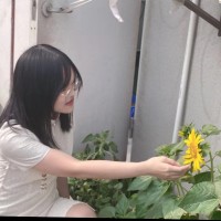 Nolan Yao