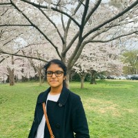 Ankita Jain, Pe