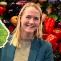 Sanne Schilder