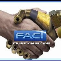 Luis Carlos Marchetti