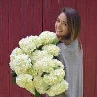 Sarah Streicher