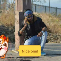 Ronak Vaishnav