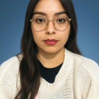 Milagros Paola Llana Curi