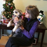 Ann Krause