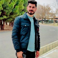 Mahamad Ayoub
