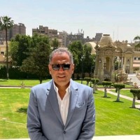 M.Adel Youssef