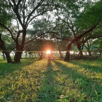 SUNSHINE EXPORT
