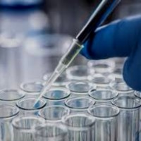 Dr. Nazia AbdulRehman