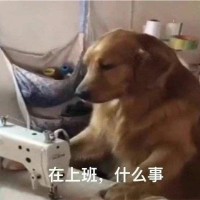 李书怀