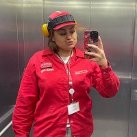 Dinefer Mariane Silva
