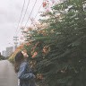Phuong Ha