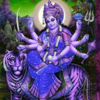 Sachin Kumar