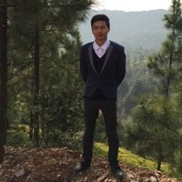 Max Qi