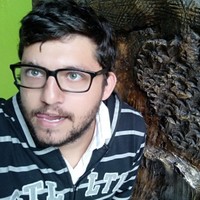 Leandro Paulino