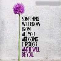 Chidhambaram Dhandapani