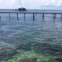 杨汝倩