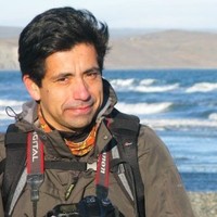 Claudio F. Vidal