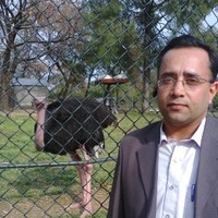 SHIRAZ AHMAD