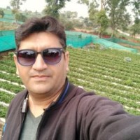 Ritesh Shah