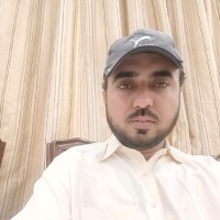 Sheri Niazi