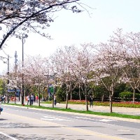王贤俊