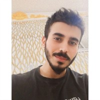 Baran Mamik Ali