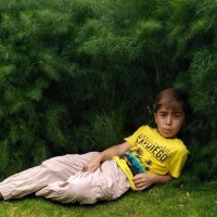 Aram Aras