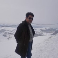 M Arabi