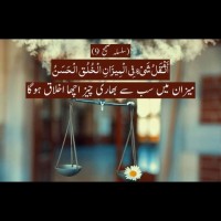 Naveed Yousaf