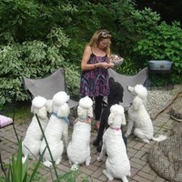 Diane Russo Armington