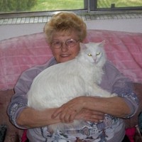 Judy Zocco