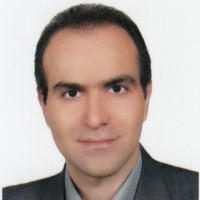 Amir Hossein Borhani