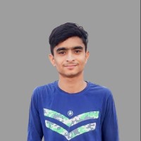 Dilsad Ansari