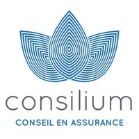 Consilium France